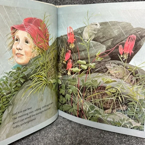 Forest of Dreams FIRST edition with DJ 1988 by Rosemary Wells and Susan Jeffers - Picture 12 of 14